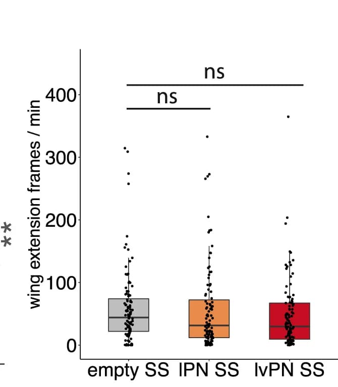 Open access visualization of Box Plot, Scatter Plot, DA1 lPN-SS, lvPN-SS, Males