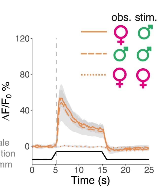 Open access visualization of Line Plot, Error Bars, Line Step, lPN Axons, GCaMP6f Responses