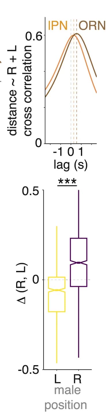 Open access visualization of Line Plot, Box Plot, Cross-correlogram, ORN responses, DA1 lPN responses