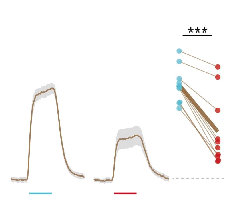 Open access visualization of Line Plot, Error Bars, Scatter Plot, ORNs, Male Presentation