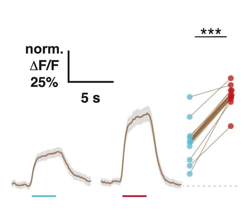 Open access visualization of Line Plot, Error Bars, Scatter Plot, ORNs, Male Presentation