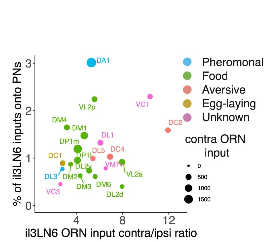 Open access visualization of Scatter Plot, Bubble Plot, il3LN6, Connectivity, Glomerulus