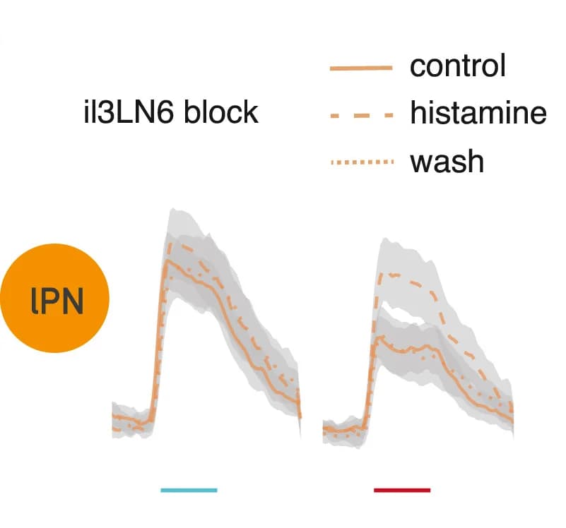 Open access visualization of Line Plot, Error Bars, il3LN6, Bilateral Contrast, lPN Axons