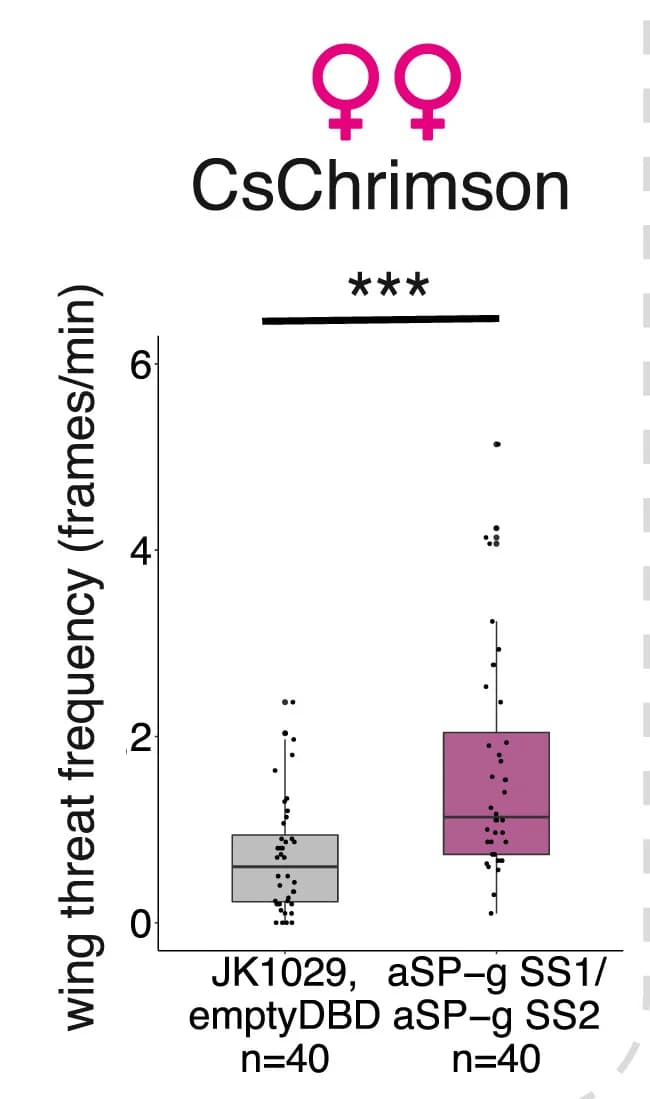 Open access visualization of Box Plot, Violin Plot, Raincloud Plot, Optogenetic Activation, aSP-g-SS1/SS2