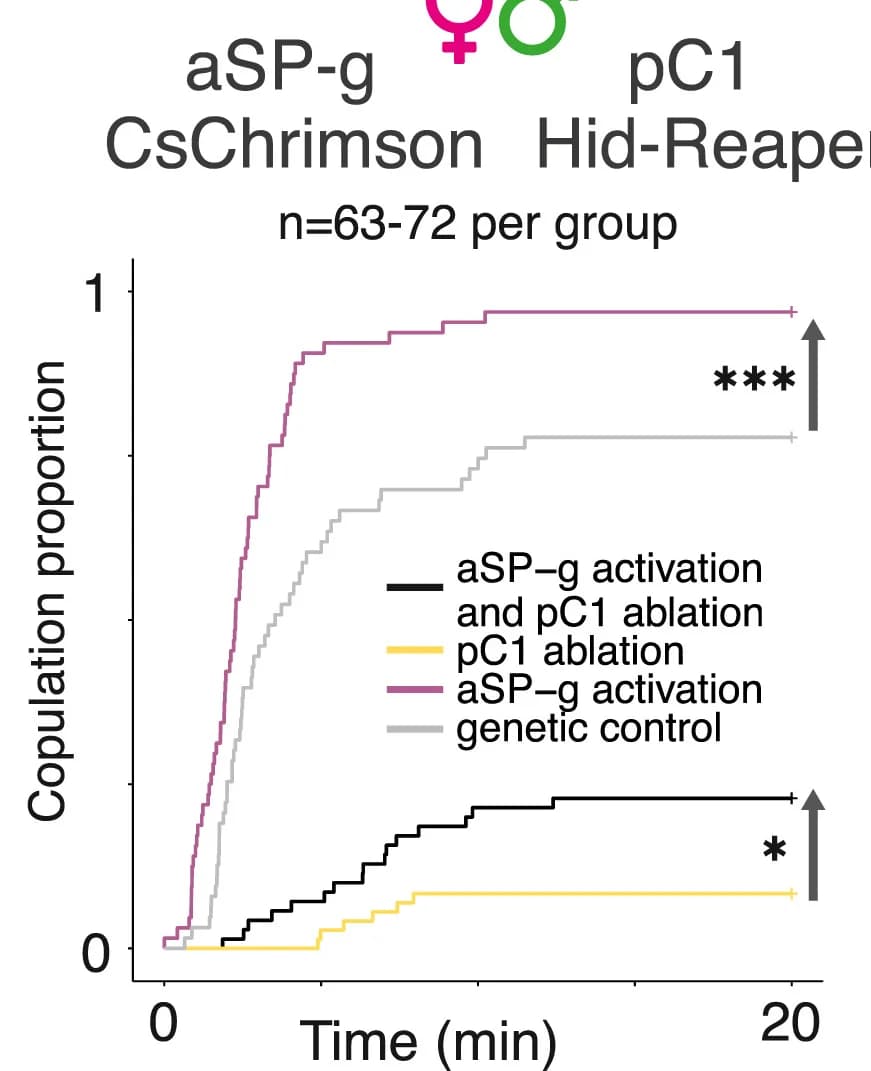 Open access visualization of Line Plot, Line Step, Behavioral Epistasis, Optogenetic Activation, aSP-g Neurons