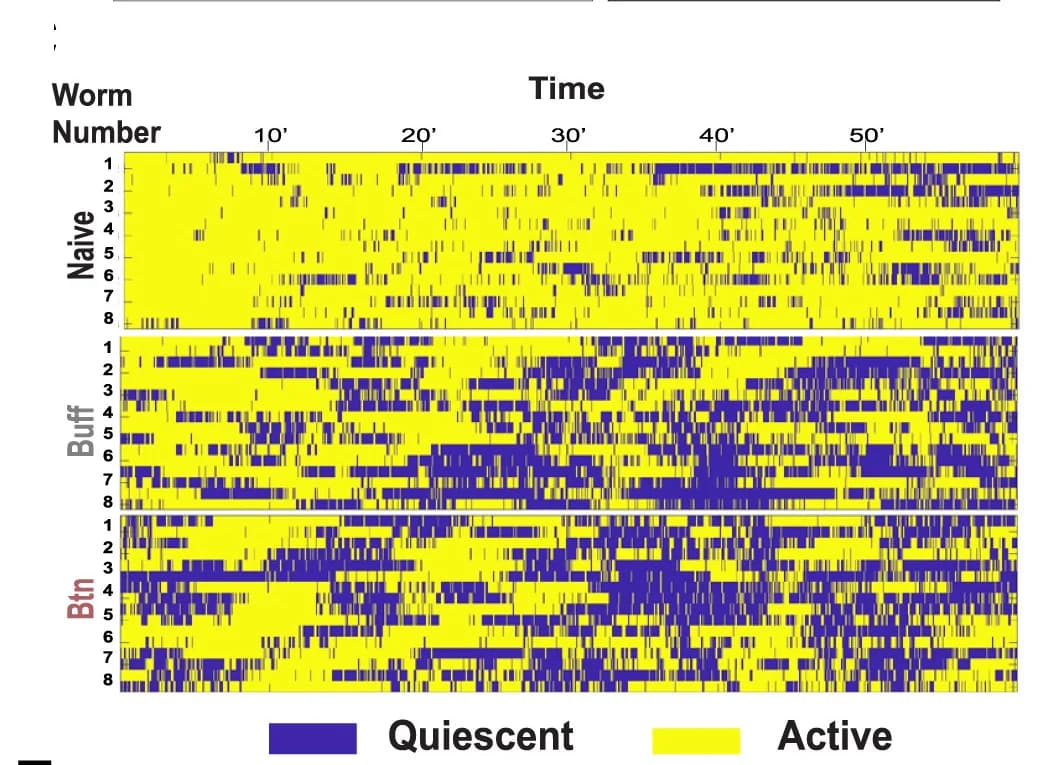 Open access visualization of Heatmap, Quiescence analysis, Movement, Raster plot, Activity