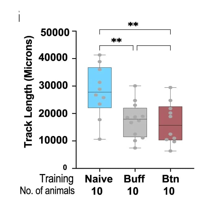 Open access visualization of Box Plot, Scatter Plot, Track length, Distance