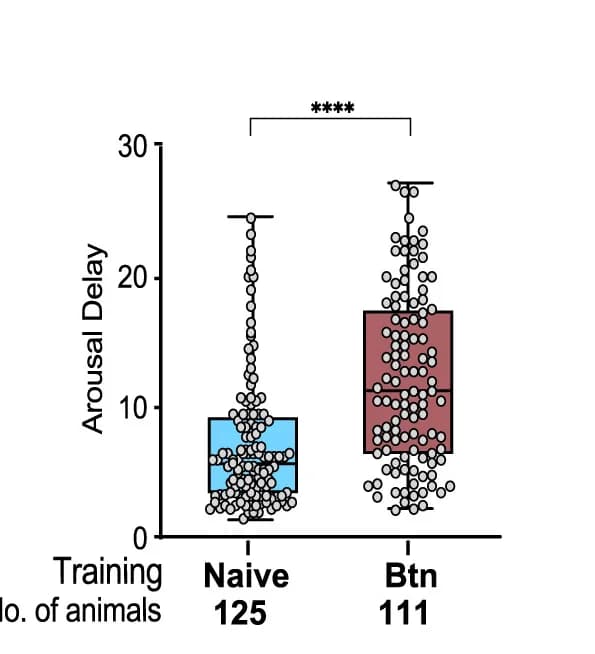 Open access visualization of Box Plot, Scatter Plot, Arousal delay, Time, Blue LED light