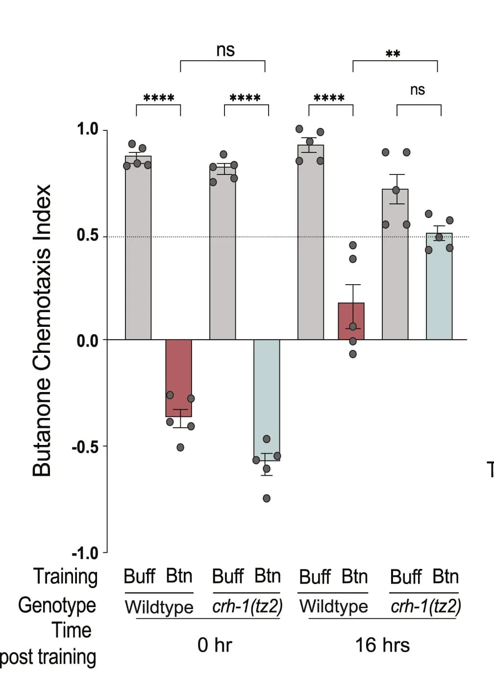 Open access visualization of Bar Plot, Error Bars, Scatter Plot, Wild-type Animals, CREB-defective Mutants