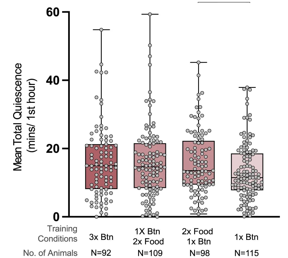 Open access visualization of Box Plot, Scatter Plot, Raincloud Plot, Quiescence, Training Paradigm