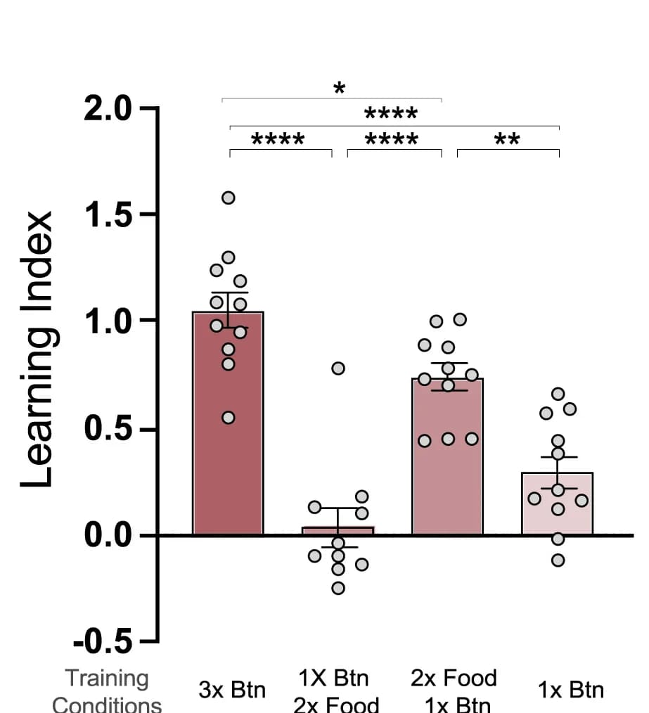 Open access visualization of Bar Plot, Scatter Plot, Error Bars, Learning Index, Training