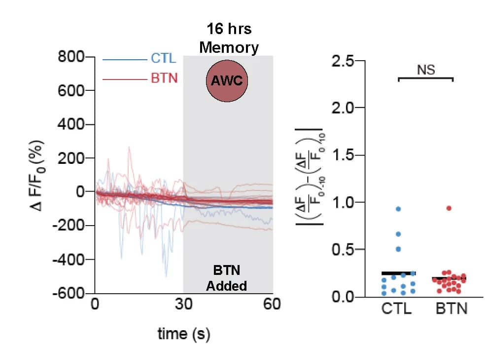 Open access visualization of Line Plot, Scatter Plot, Calcium Transients, GCaMP3, Butanone
