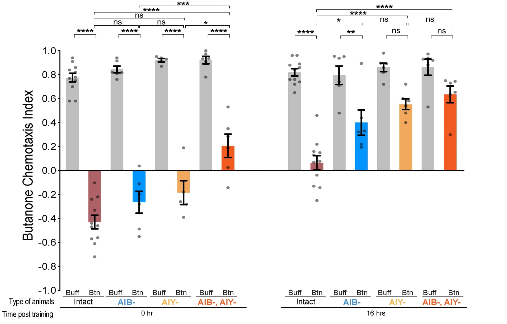 Open access visualization of Bar Plot, Error Bars, Scatter Plot, Neurons, AIBs