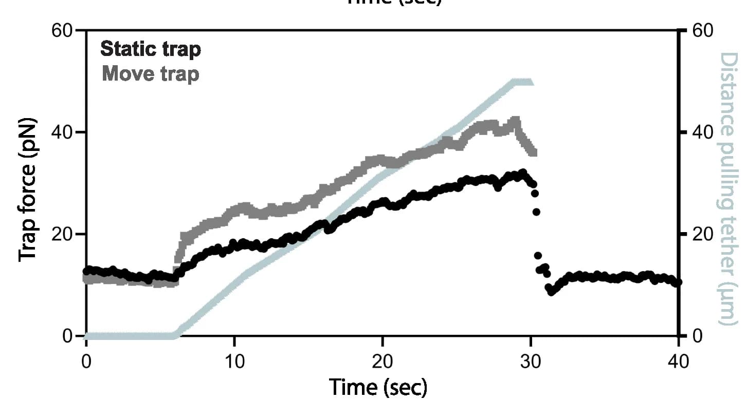 Open access visualization of Line Plot, Tension, Cells, Actin cortex, Latrunculin B treatment