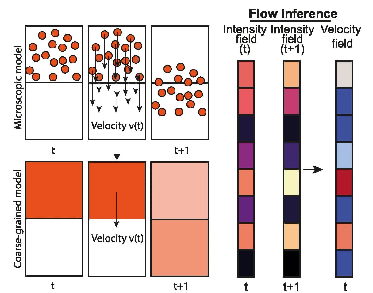 Open access visualization of Workflow, Illustration, Membrane Flow, Actin Flow, Protrusion