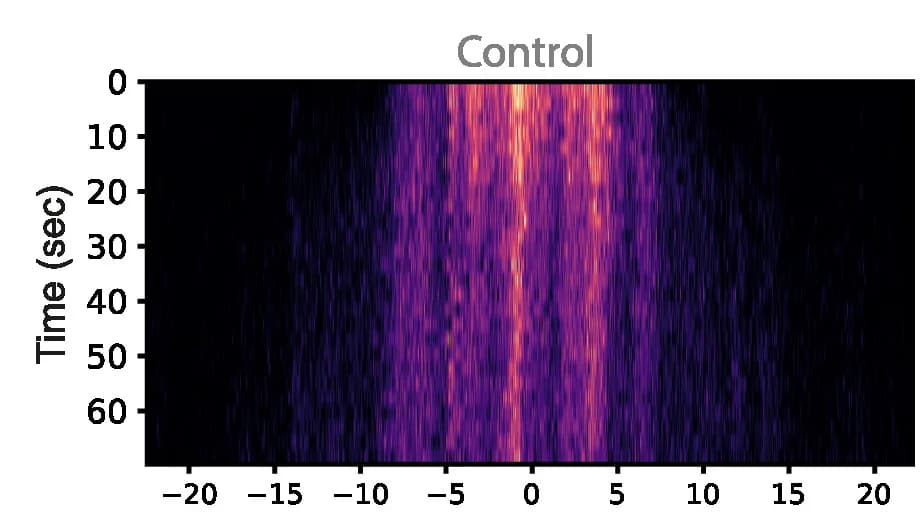 Open access visualization of Heatmap, Kymograph, Diffusion, Control Cell, Protruding Cell