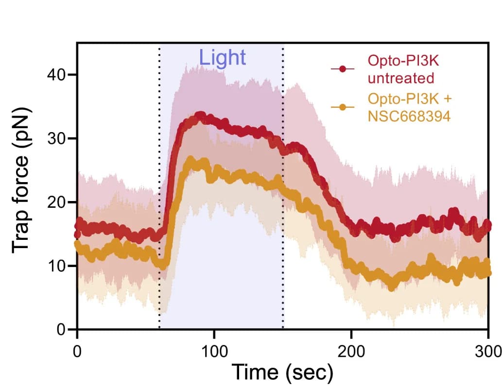Open access visualization of Line Plot, Error Bars, Trap Force, Cell Protrusion, Control Cells