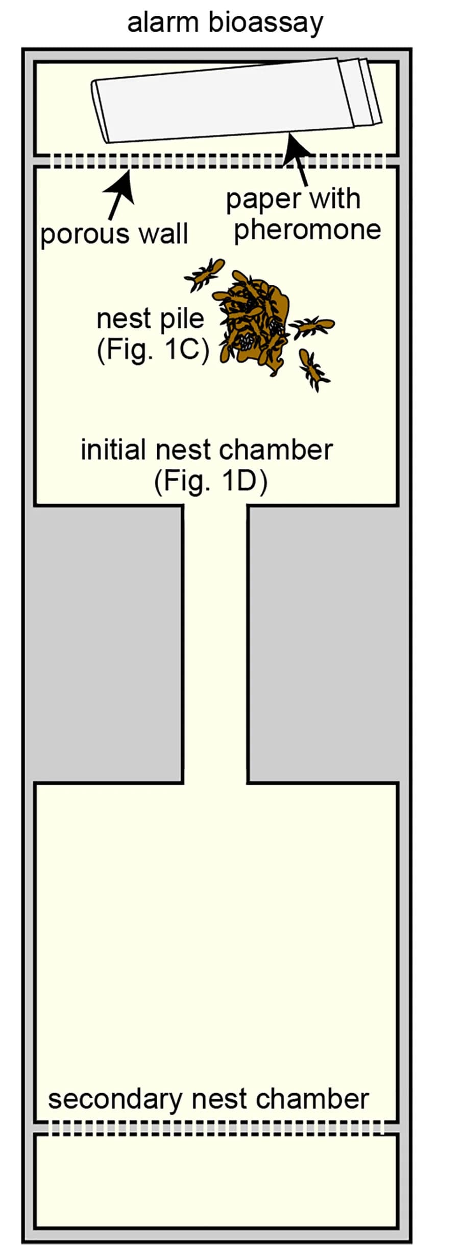 Open access visualization of Illustration, Experimental Design, Colony Alarm Bioassay