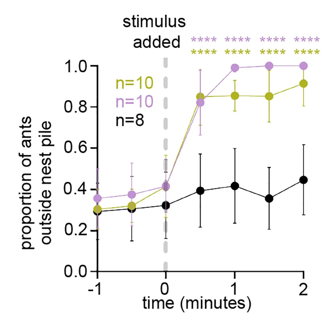 Open access visualization of Line Plot, Error Bars, Time Series, Colony Responses, Alarm Pheromones