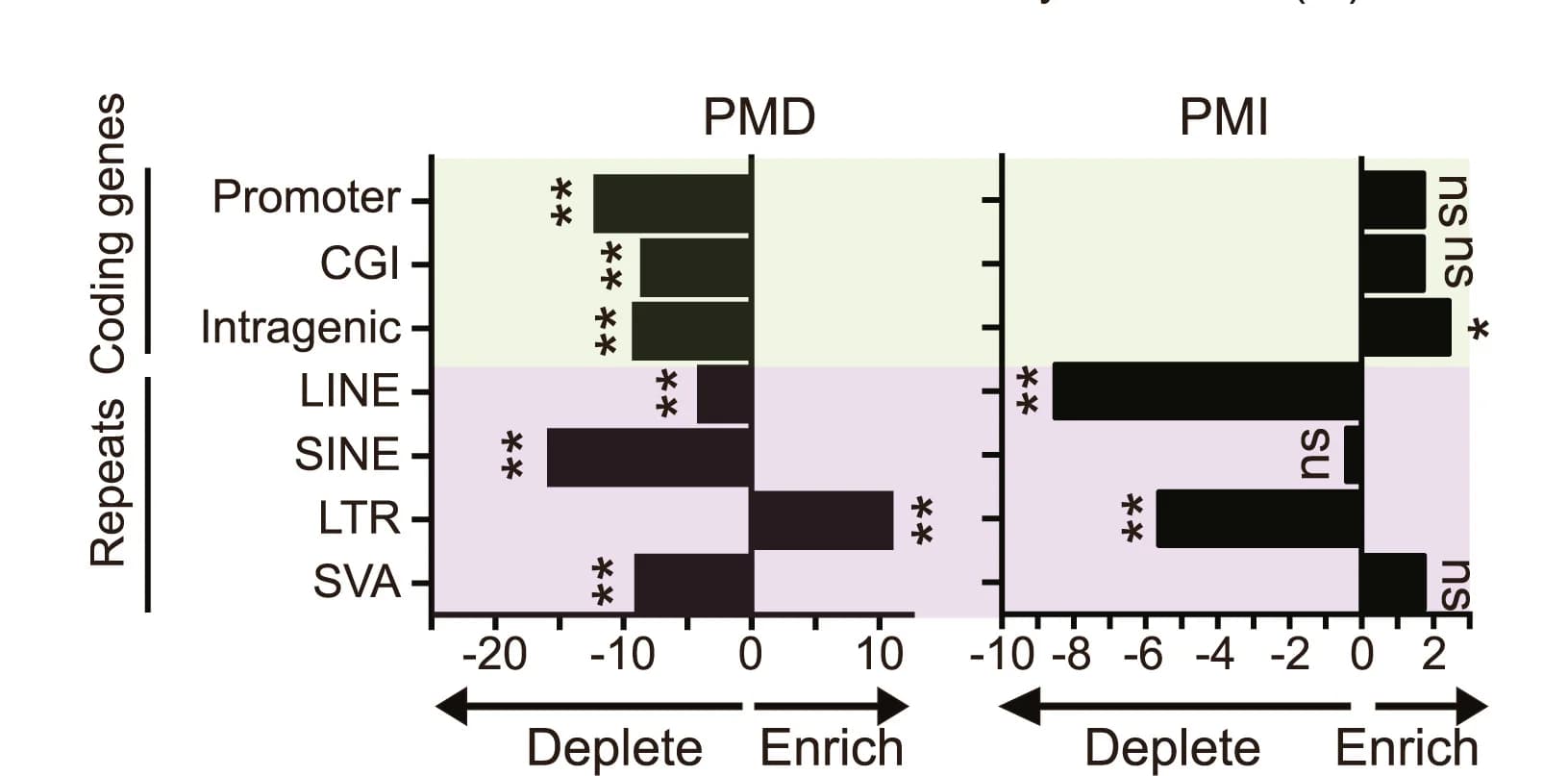 Open access visualization of Bar Plot, Error Bars, Coding Genes, Repeats, PMDs