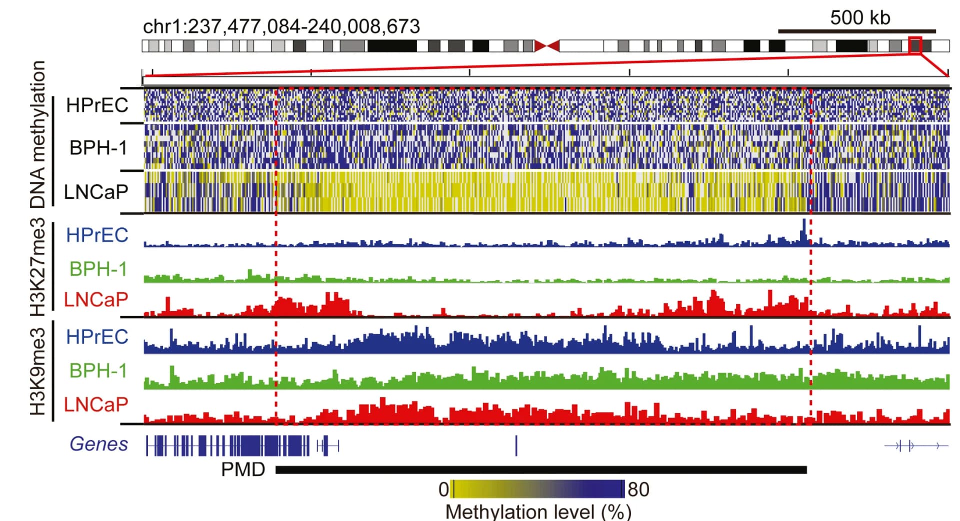 Open access visualization of Line Plot, Heatmap, IGV Track, Cancer-Associated PMD, DNA Hypomethylation