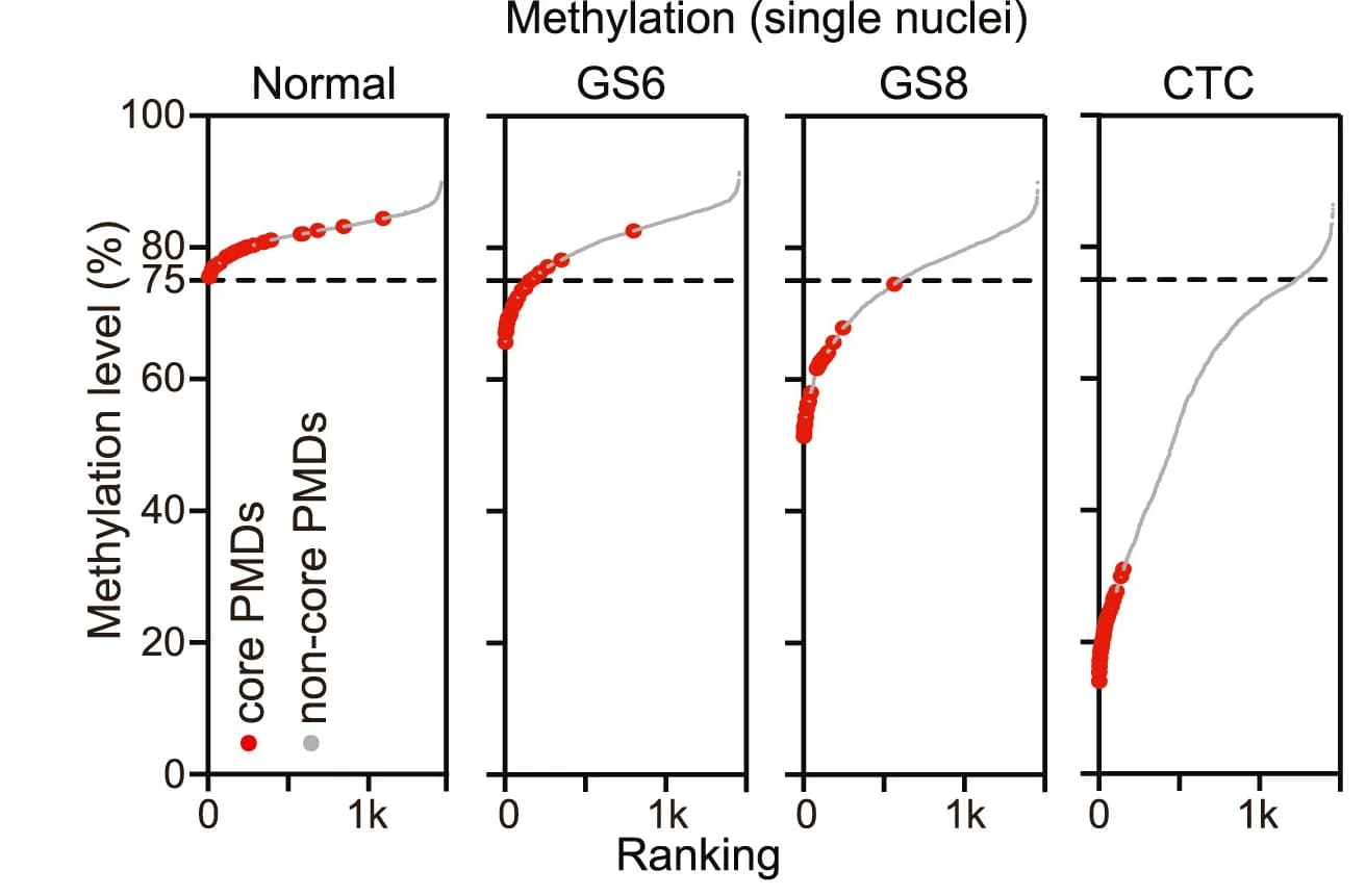 Open access visualization of Scatter Plot, Line Plot, Methylation Level, PMDs, Prostate Cancer