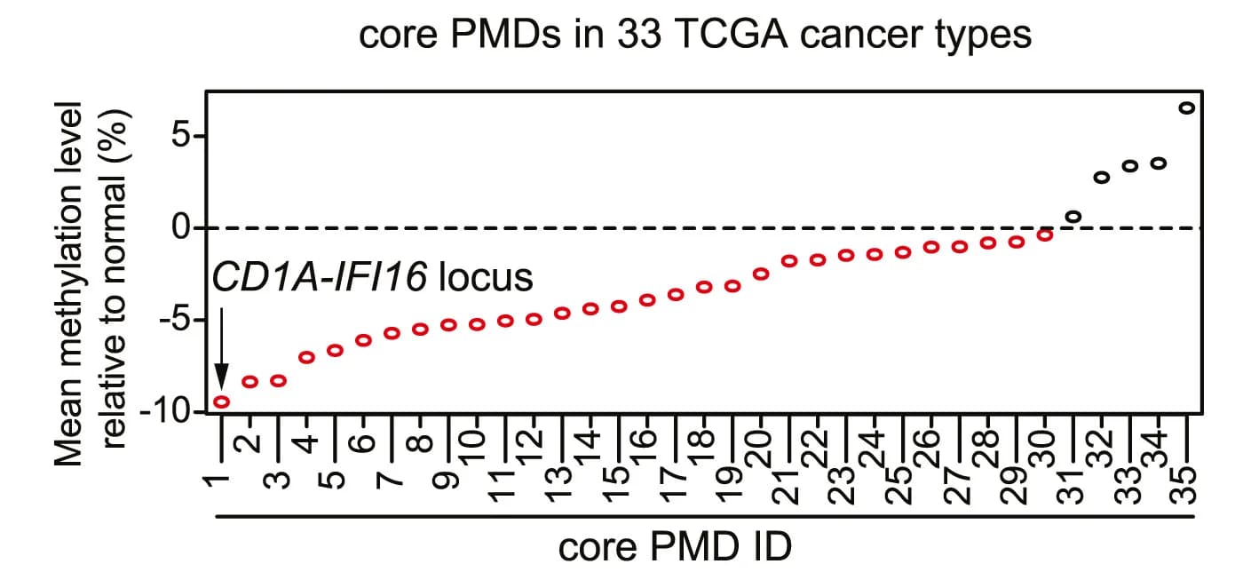 Open access visualization of Scatter Plot, Tumor Types, TCGA, DNA Methylation, Prostate Cancer PMDs
