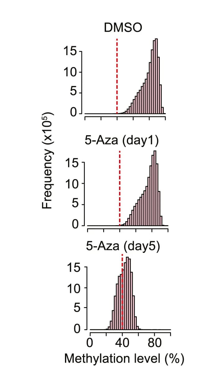 Open access visualization of Histogram, Histograms, DNA Methylation, Normal Prostate Cells, 5-Azacytidine Treatment