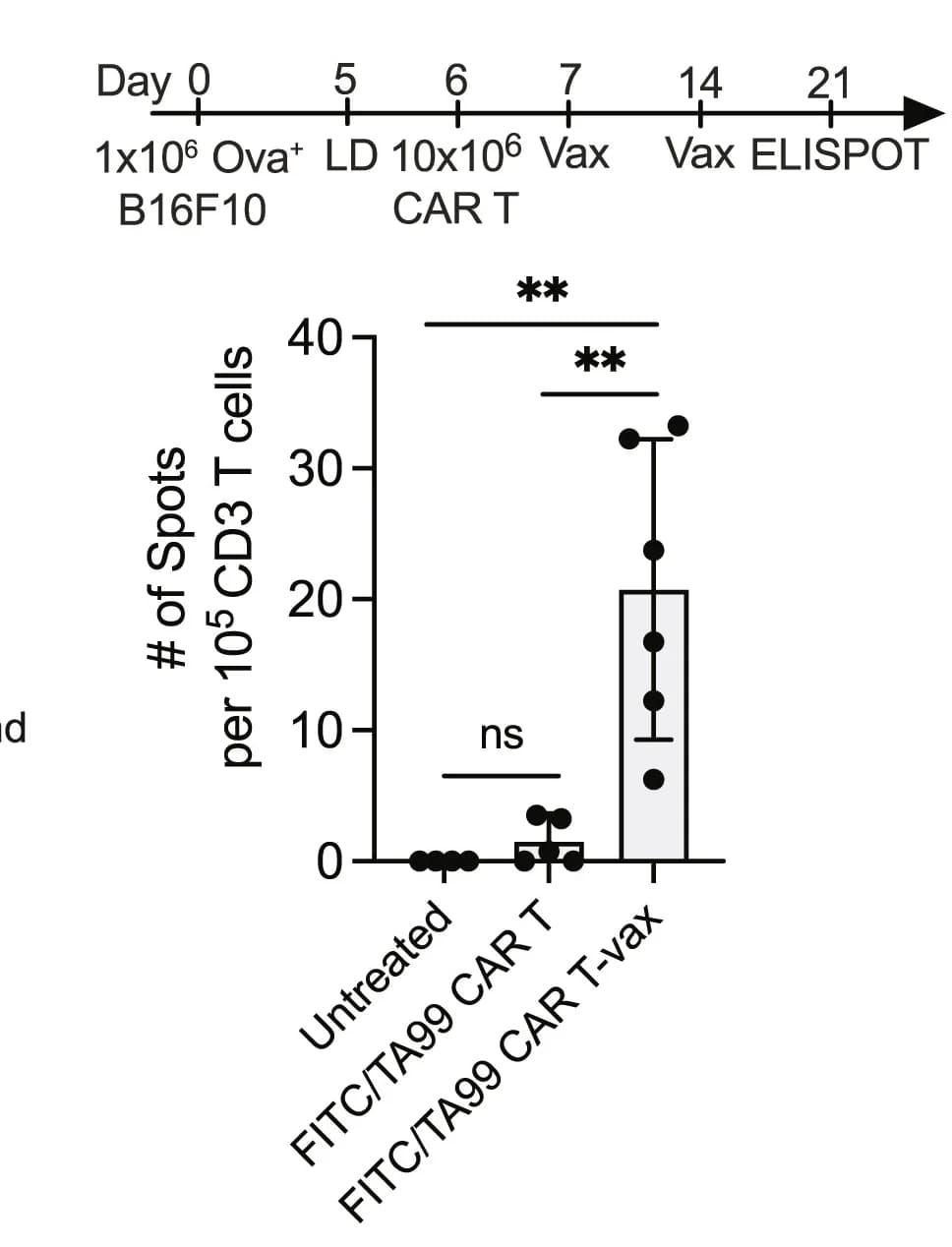 Open access visualization of Bar Plot, Error Bars, Scatter Plot, OVA+B16F10 Tumors, FITC/TA99 CAR T-vax