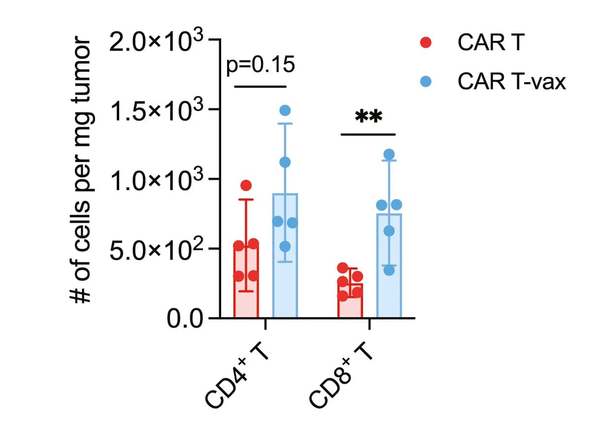 Open access visualization of Bar Plot, Error Bars, Scatter Plot, T Cells, Tumor-bearing Mice
