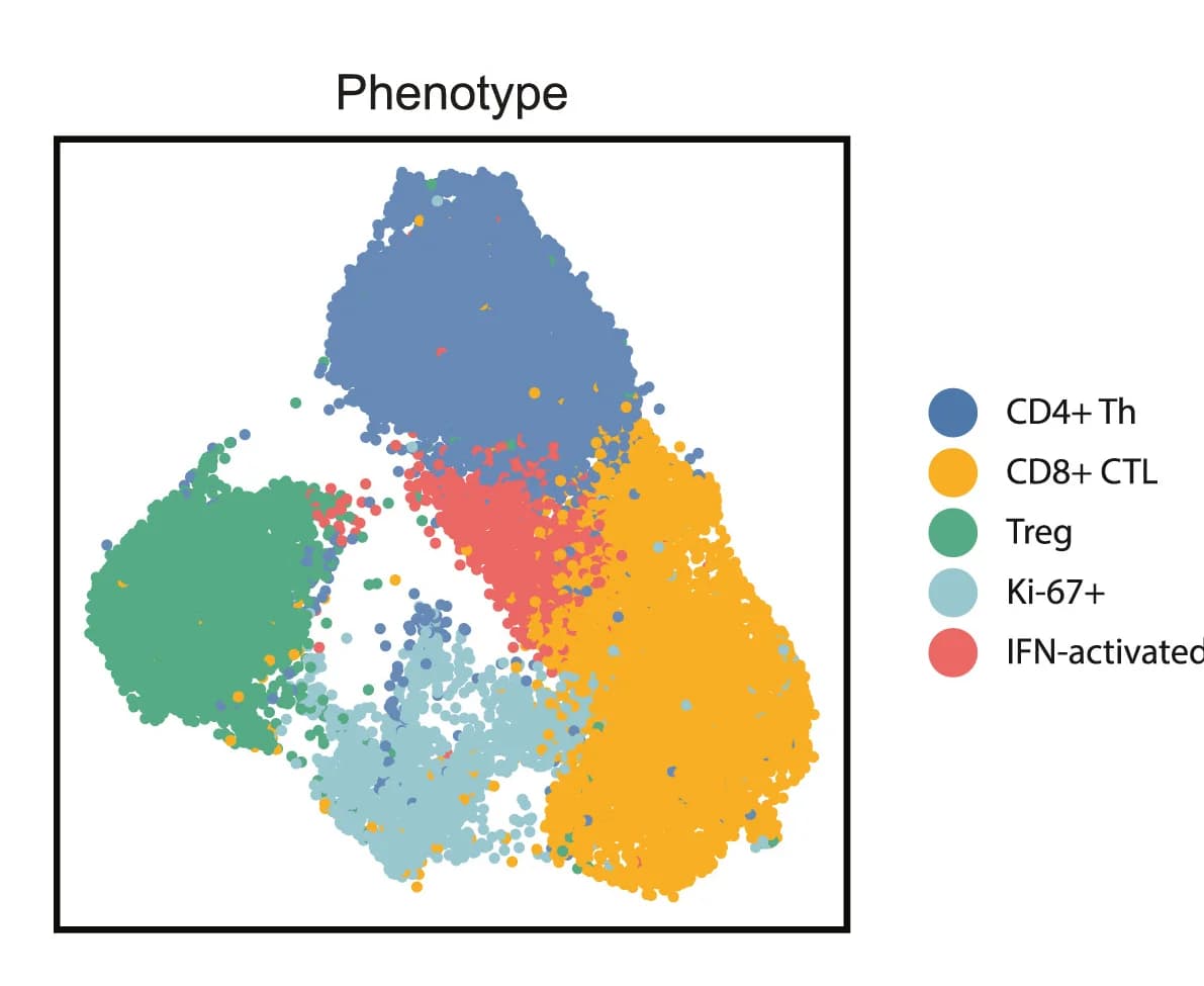 Open access visualization of Scatter Plot, UMAP, Clusters, Gene Expression