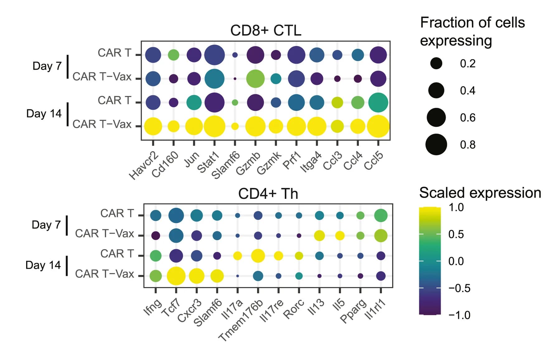 Open access visualization of Bubble Plot, Dotplots, Gene Expression, CD8+CTLs, CD4+Th Cells