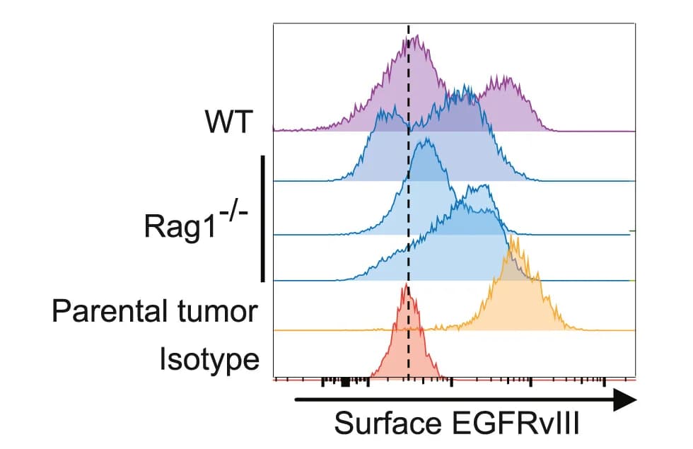 Open access visualization of Line Plot, Density Plot, Ridge Plot, Surface EGFRvIII Expression