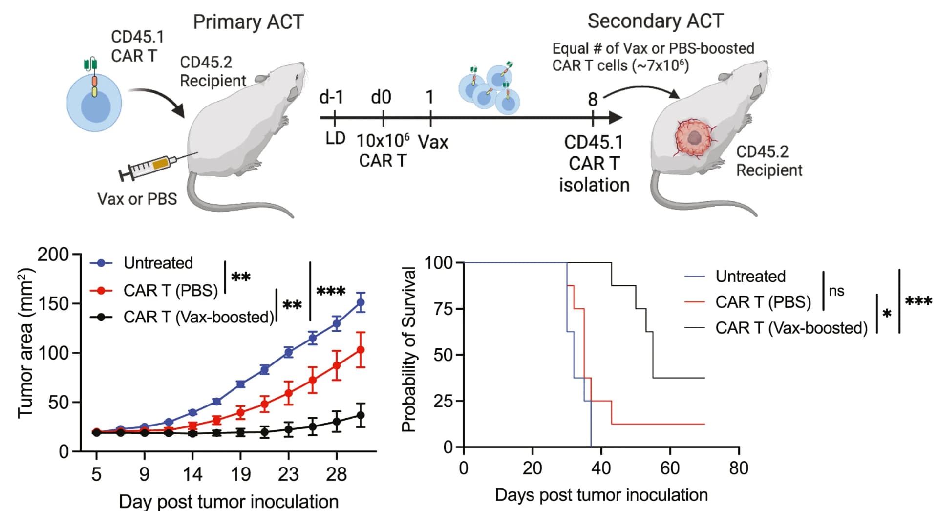 Open access visualization of Line Plot, Error Bars, Survival Curve, Line Step, Tumor Growth