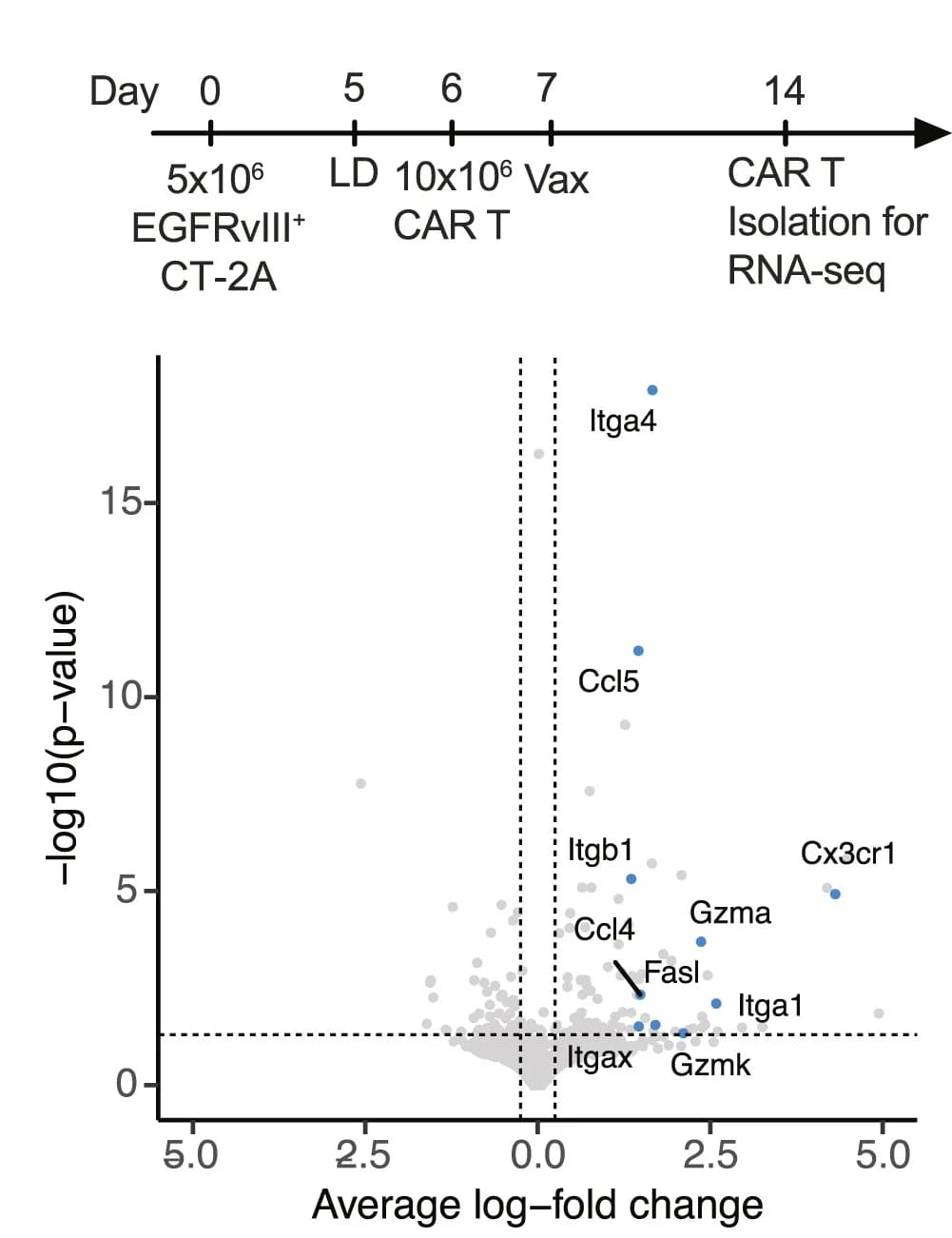 Open access visualization of Volcano Plot, Mice, CAR T Cells, Spleen, Tumor