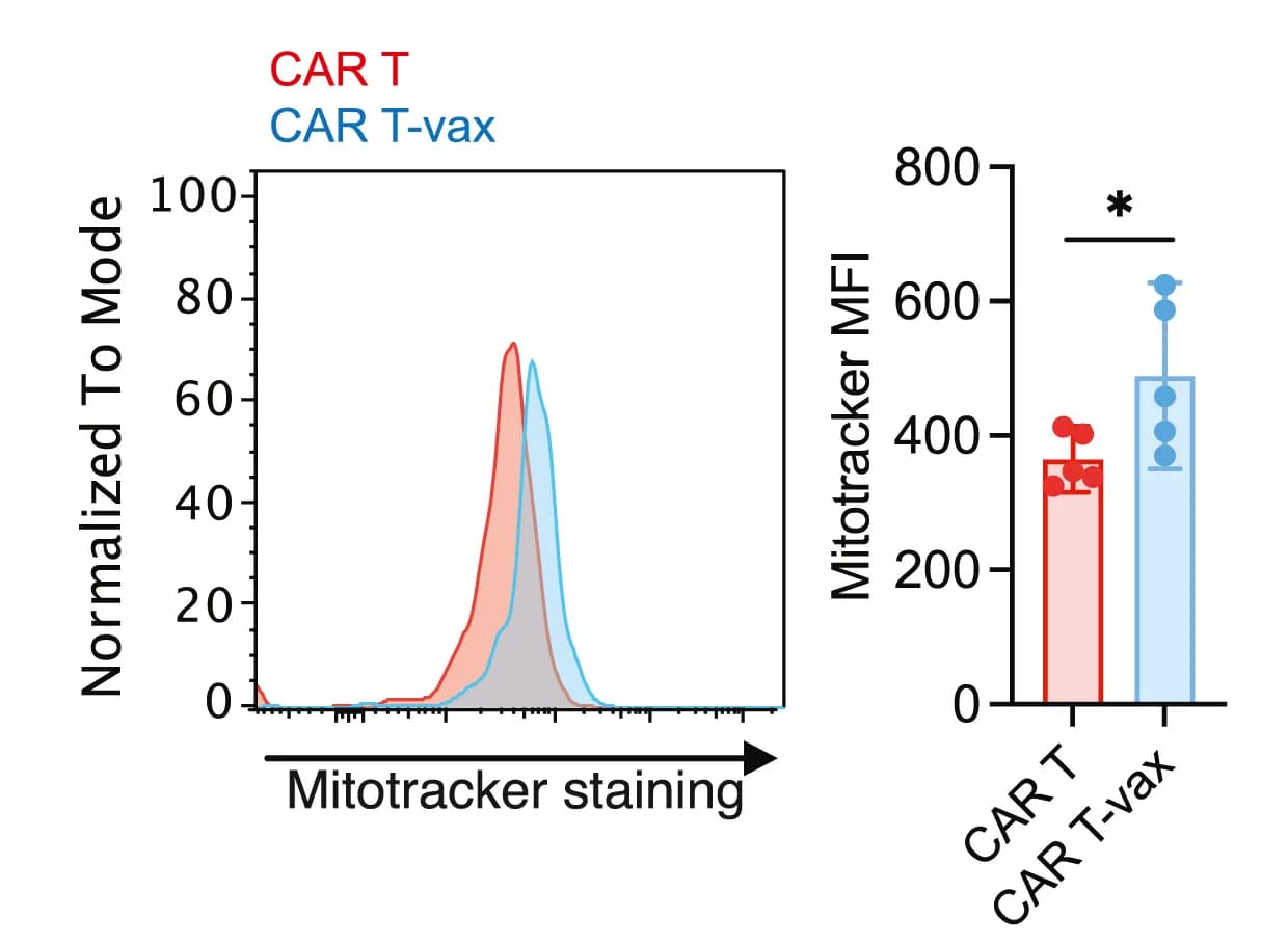 Open access visualization of Bar Plot, Error Bars, Line Plot, Density Plot, PGC-1