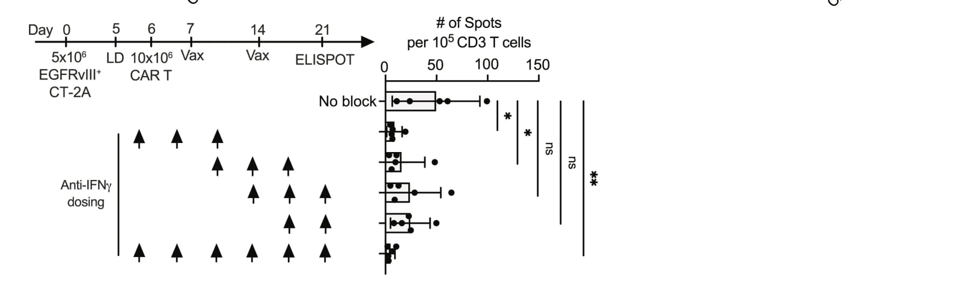 Open access visualization of Box Plot, Scatter Plot, IFN-γ, ELISPOT, Mice