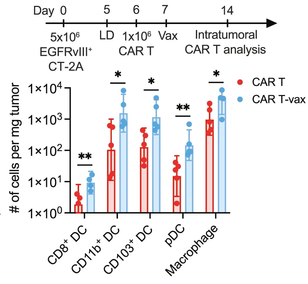 Open access visualization of Bar Plot, Error Bars, Scatter Plot, Tumor-Infiltrating Immune Cells, Mice