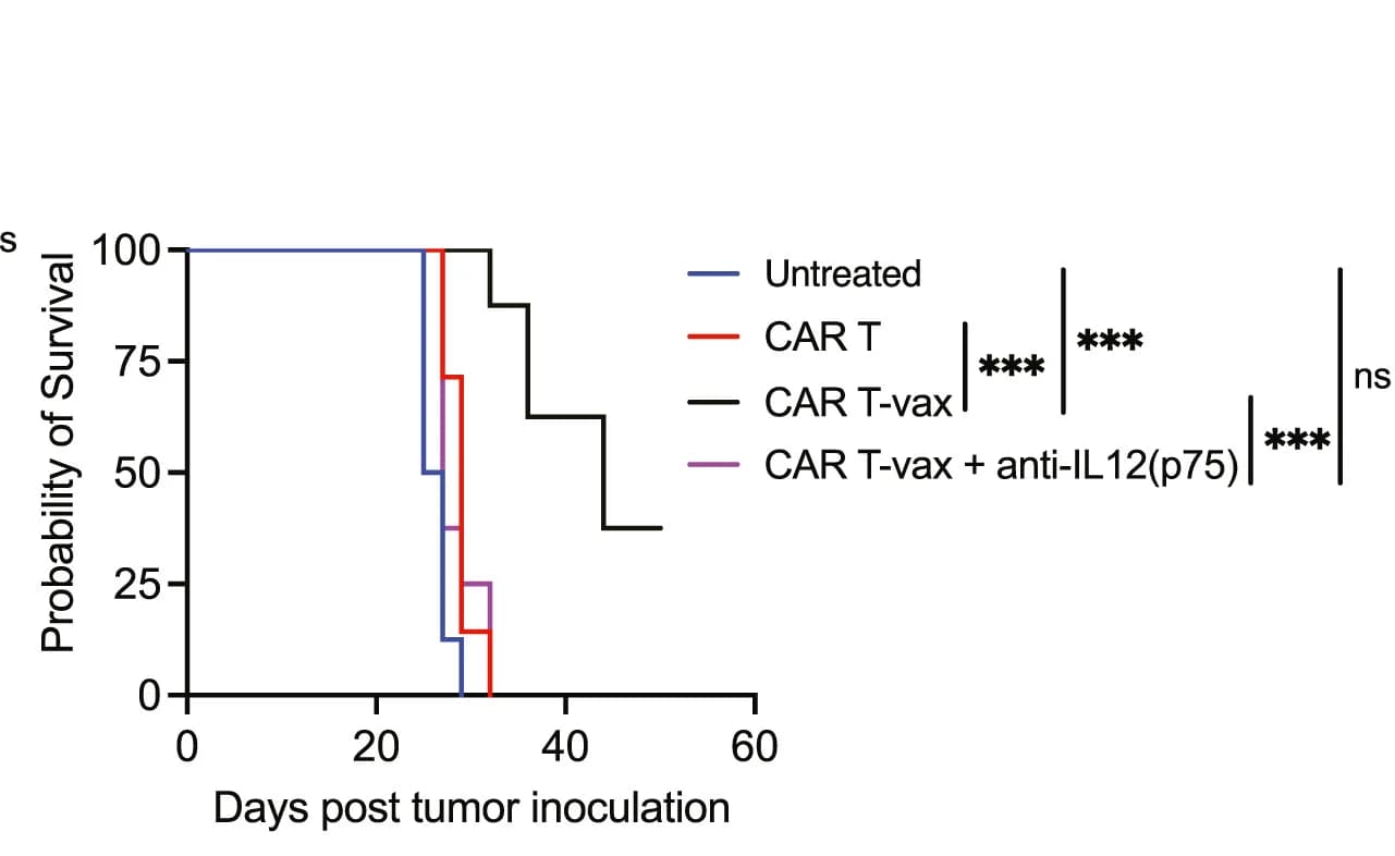 Open access visualization of Survival Curve, Survival, CAR T, CAR T-vax, Anti-IL12