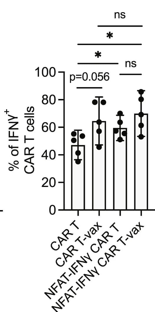 Open access visualization of Bar Plot, Error Bars, CT-2A Tumors, CAR T, Vax Therapy