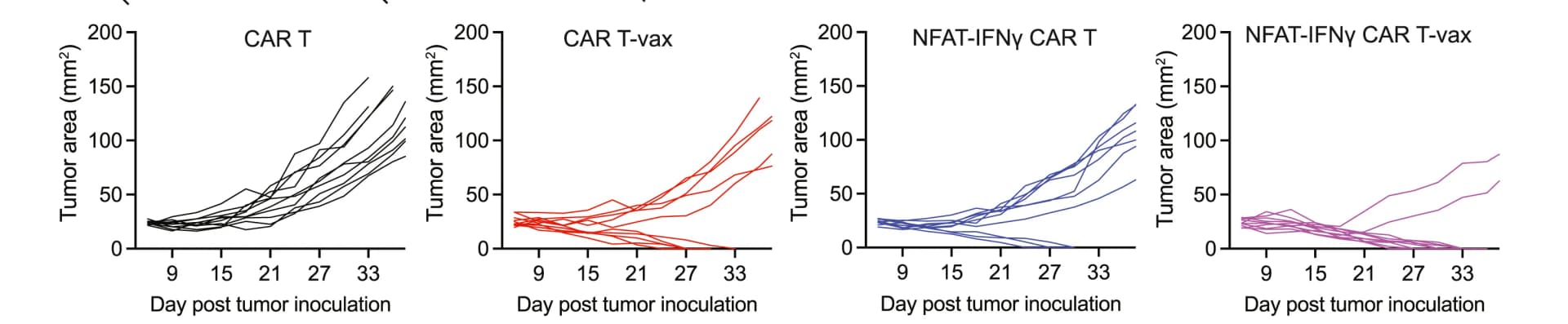 Open access visualization of Line Plot, Tumor Growth, CT-2A Tumors, CAR T, Vax