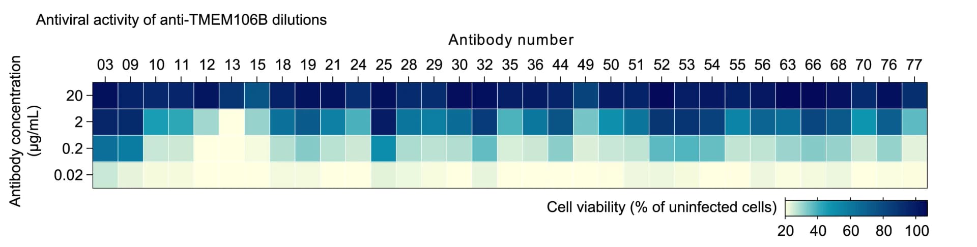 Open access visualization of Heatmap, NCI-H1975 Cells, TMEM106B-specific antibodies, SARS-CoV-2, Cell viability
