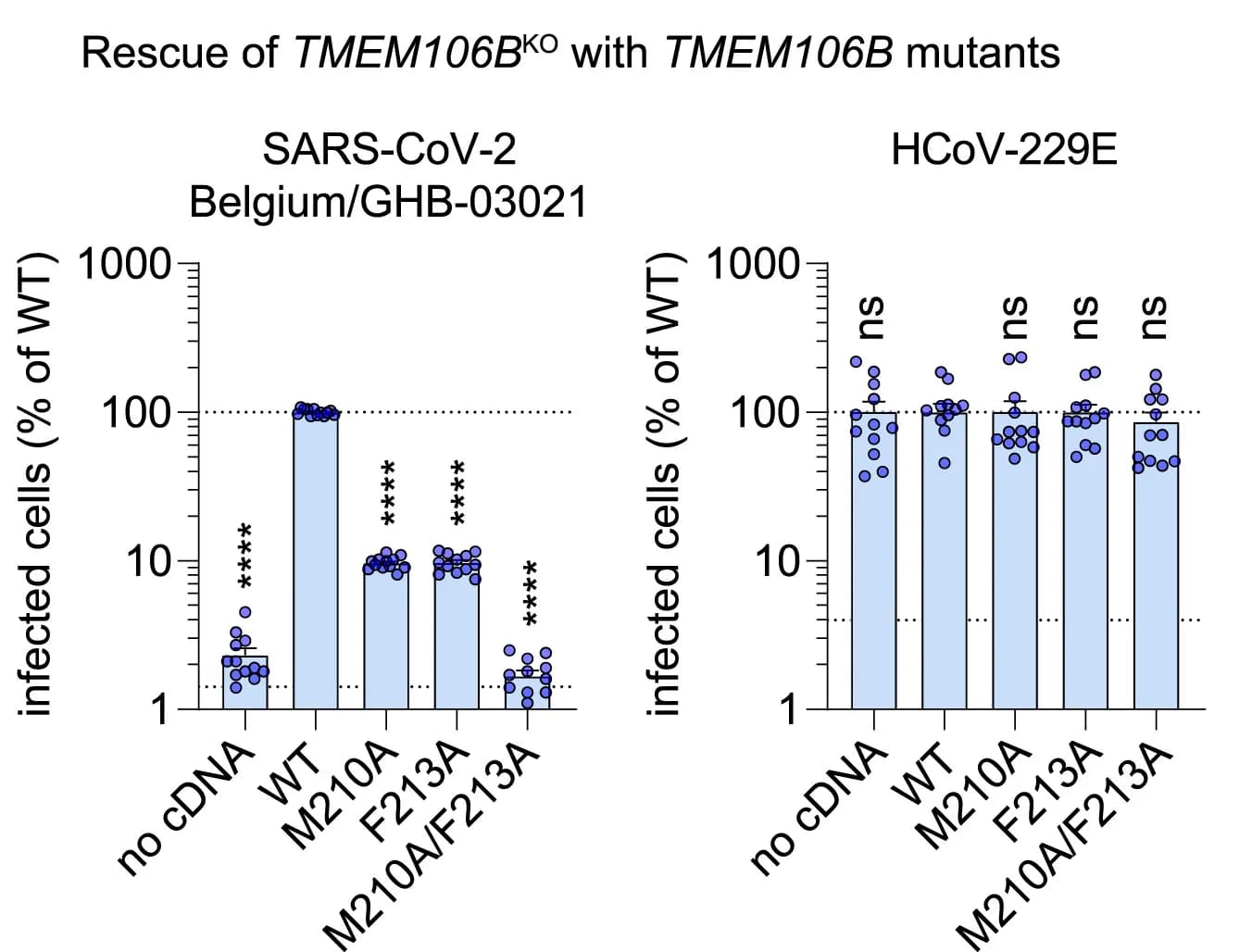 Open access visualization of Bar Plot, Scatter Plot, Error Bars, NCI-H1975 Cells, TMEM106BKO