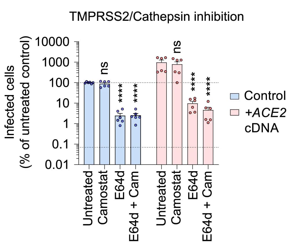 Open access visualization of Bar Plot, Error Bars, Clustered, Scatter Plot, NCI-H1975 cells