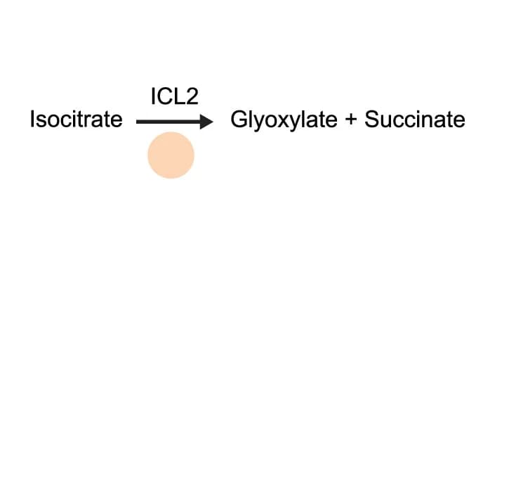 Open access visualization of Workflow, Flowchart, Illustration, Diagram, RBD3