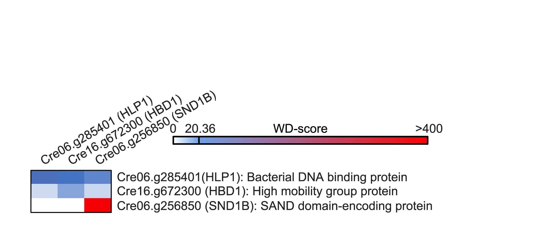 Open access visualization of Heatmap, Protein-protein interactions, HLP1, HBD1, SND1B