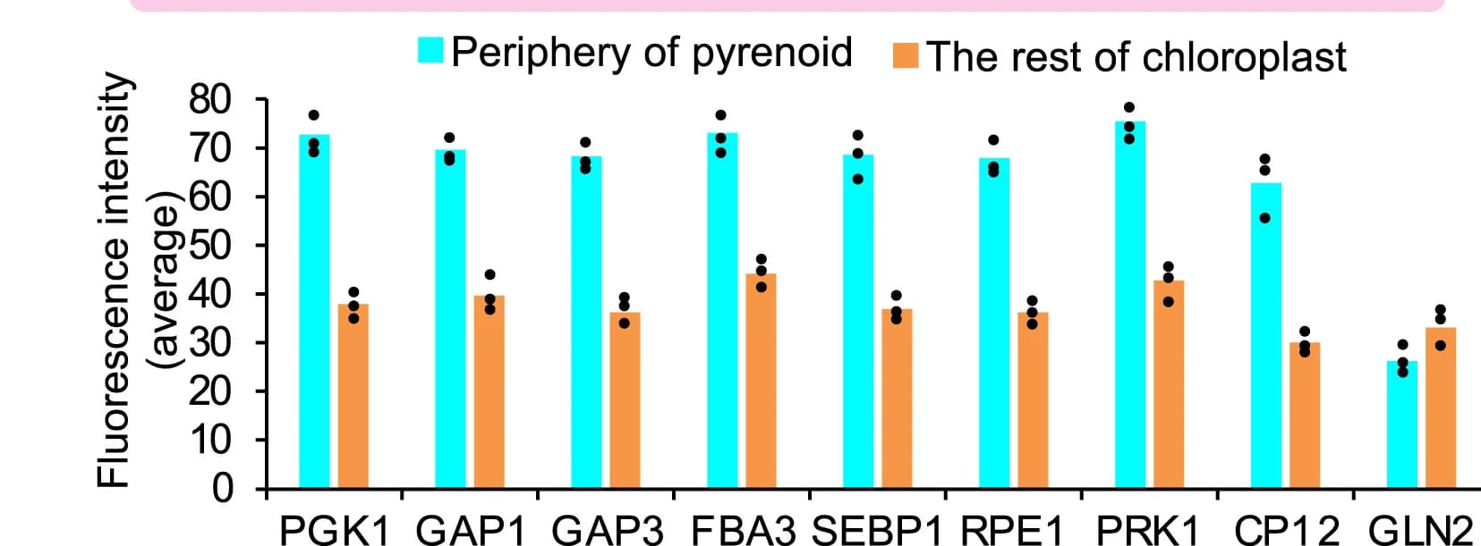 Open access visualization of Bar Plot, Clustered, Calvin-Benson Cycle, Enzyme Fluorescence, Pyrenoid