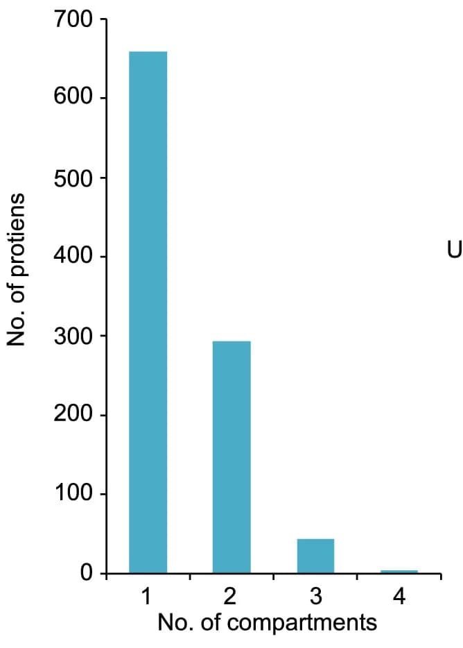 Open access visualization of Bar Plot, Proteins, Subcellular Localization, Compartments