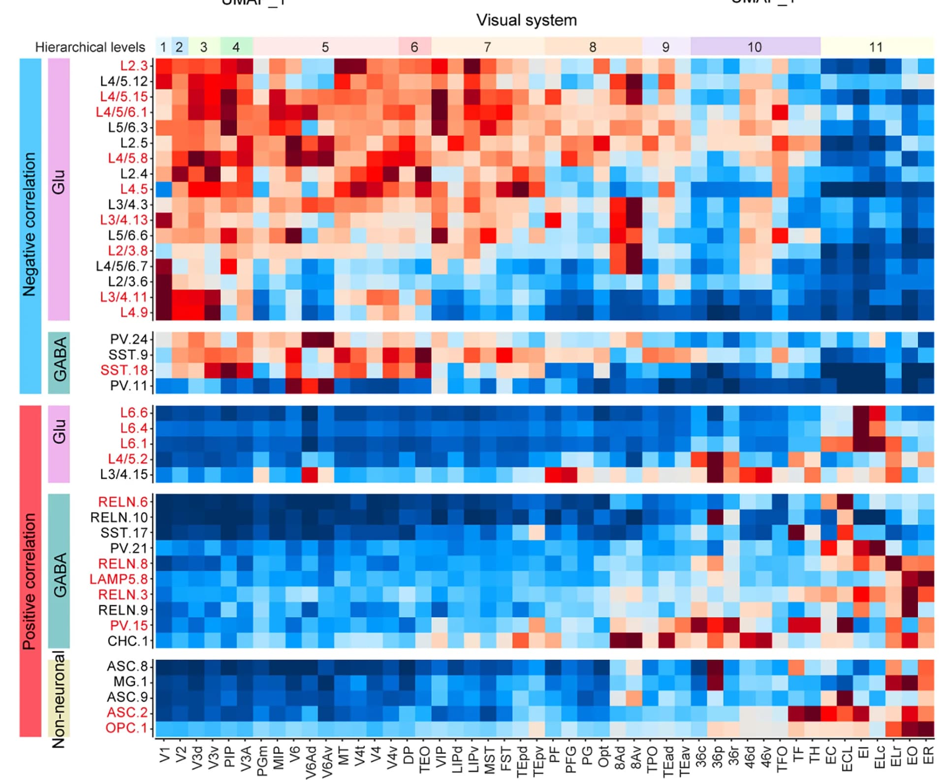 Open access visualization of Heatmap, Heatmaps, Regional Density, Cell Types, Correlation