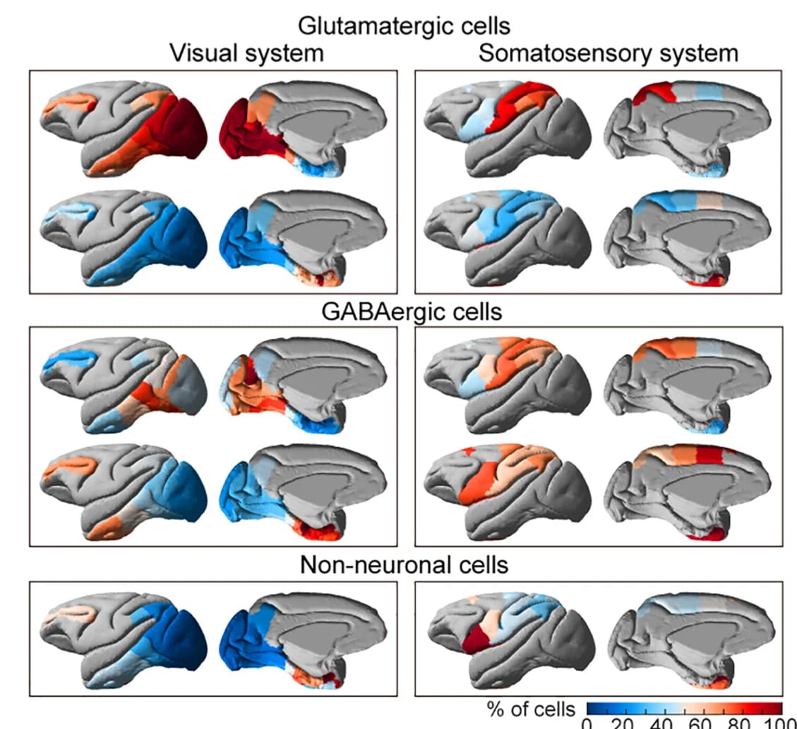Open access visualization of Heatmap, 3D Surface Rendering, Percentages, Major Class